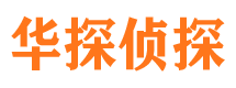 桃城外遇调查取证